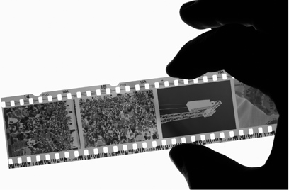 インフルエンザ早期診断システム